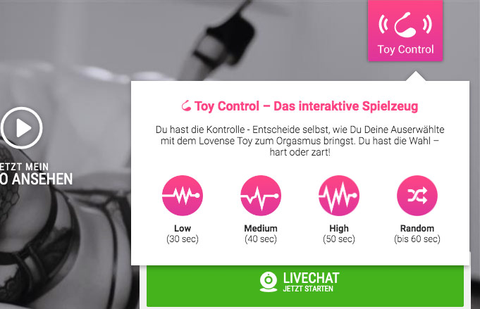 Toy Control - Kontrolliere du den Orgasmus deiner Visit-x Girls